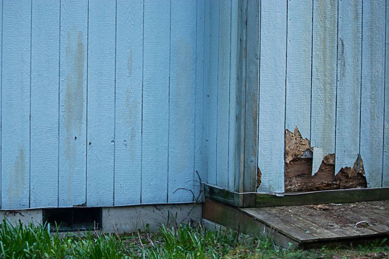 Siding Replacement Solutions